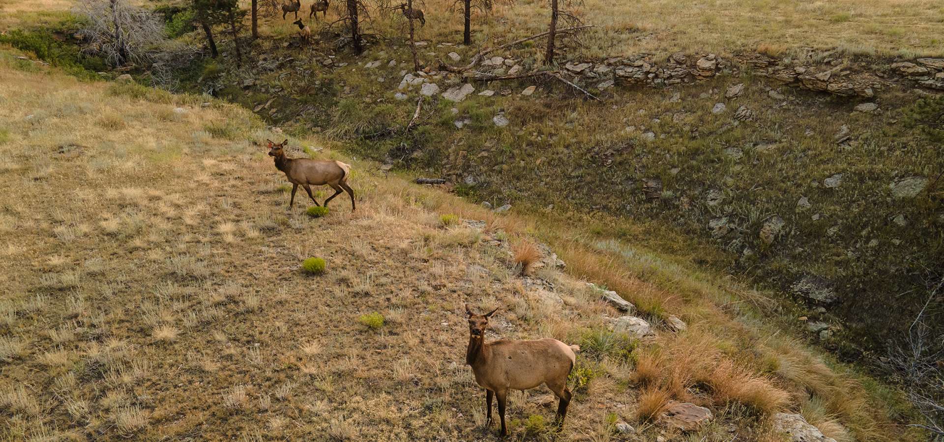 Hunting at Sunrise Ranch